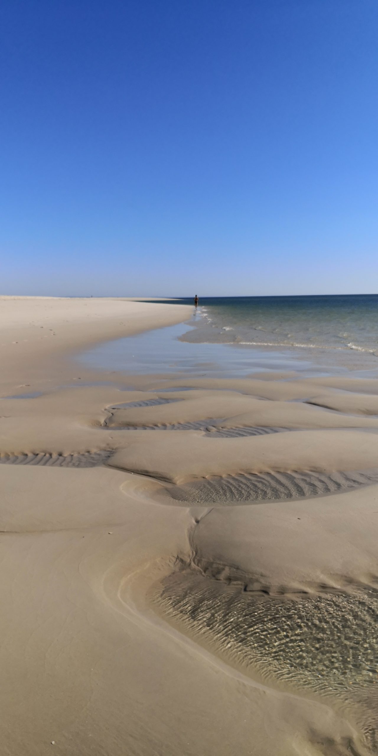 Strand ohne Quallen